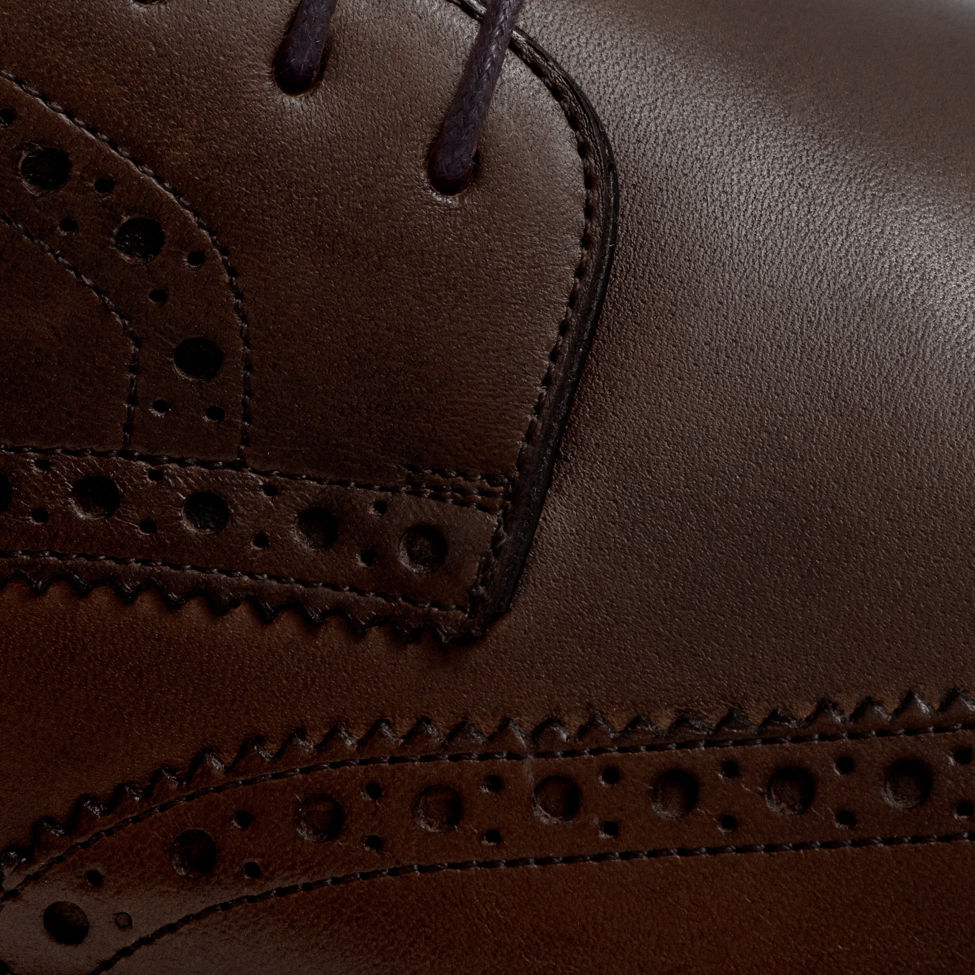Gibson Wingtips