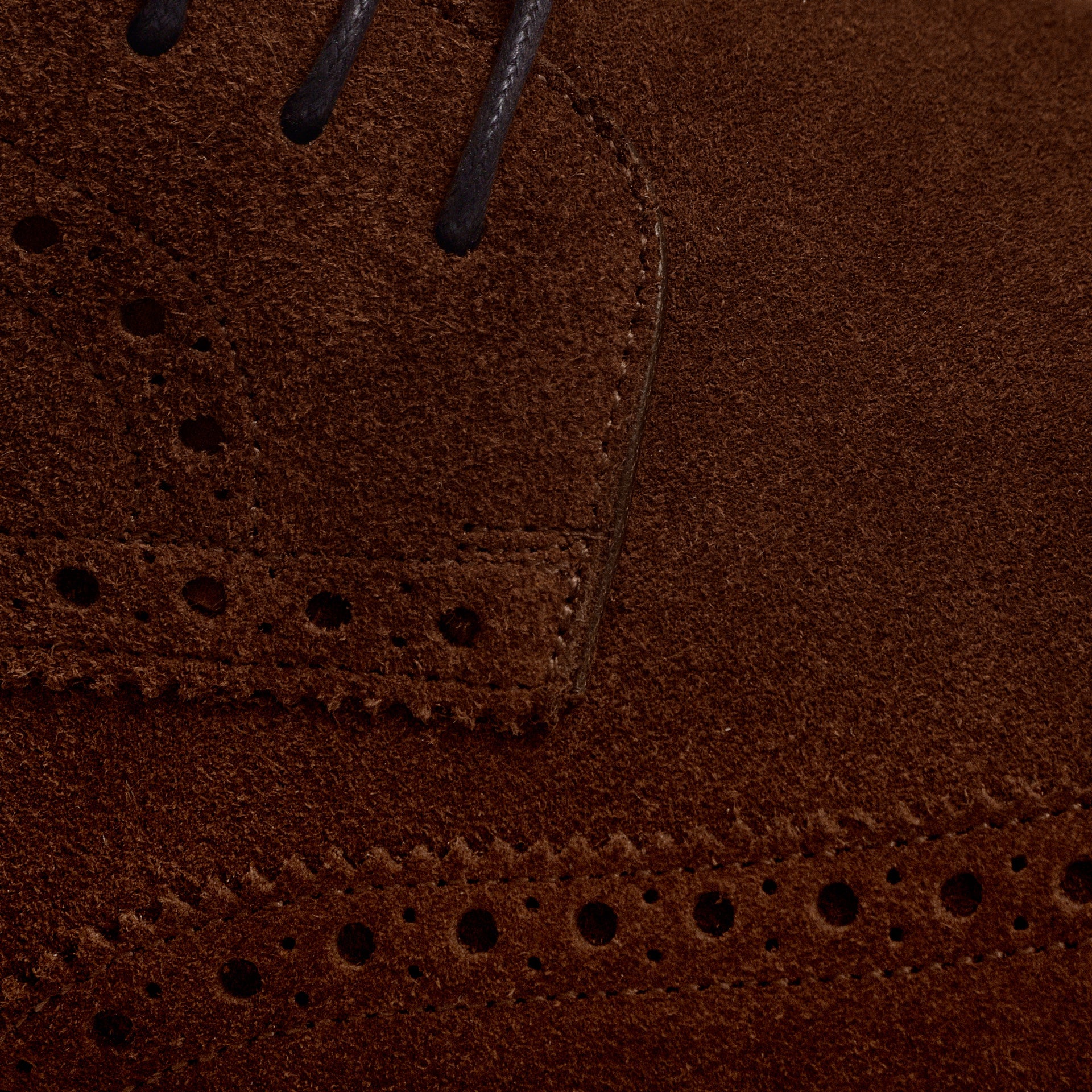 Gibson Wingtips - Suede